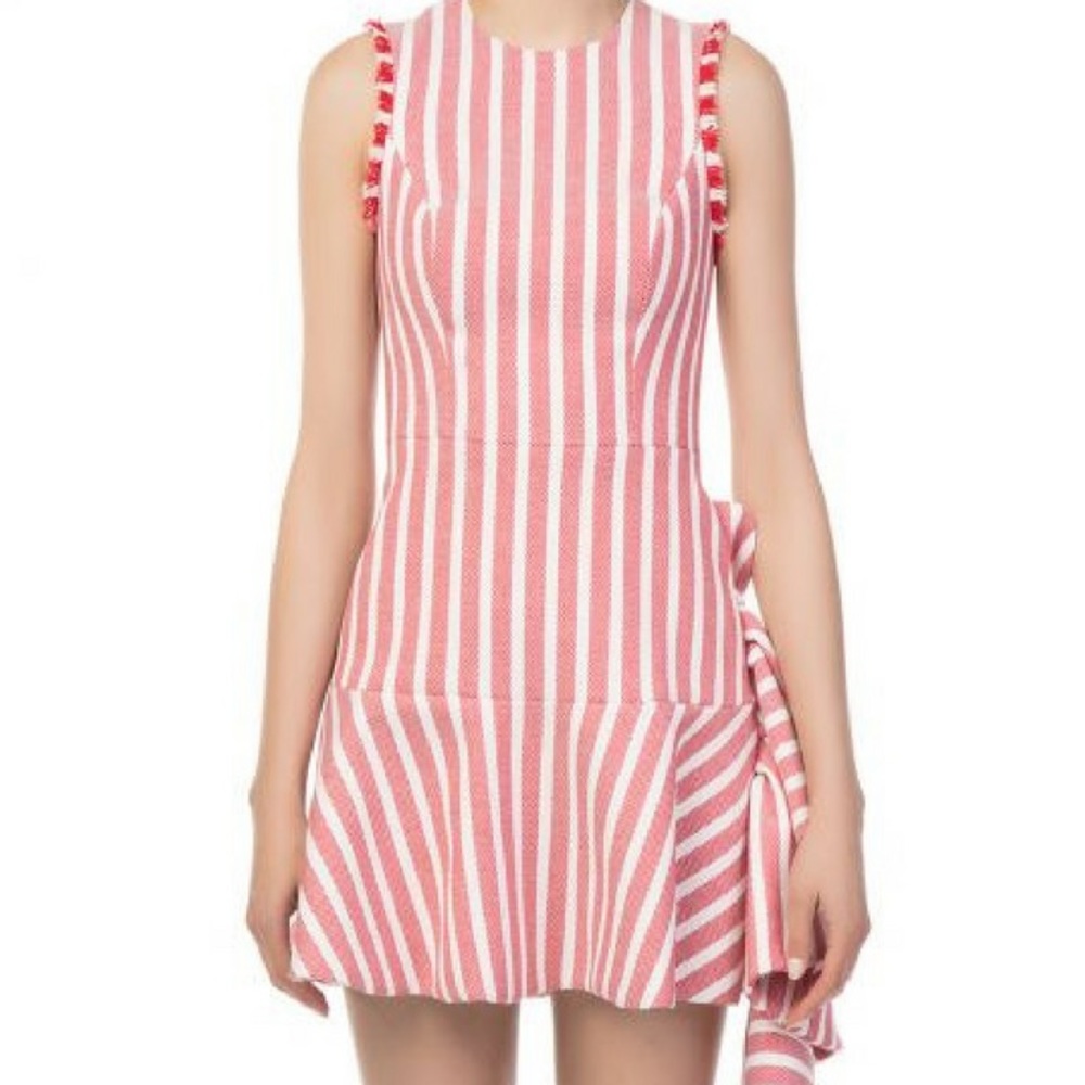 Alexis Striped Cara Cara dress; Size S